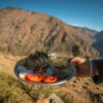 food 1 manali